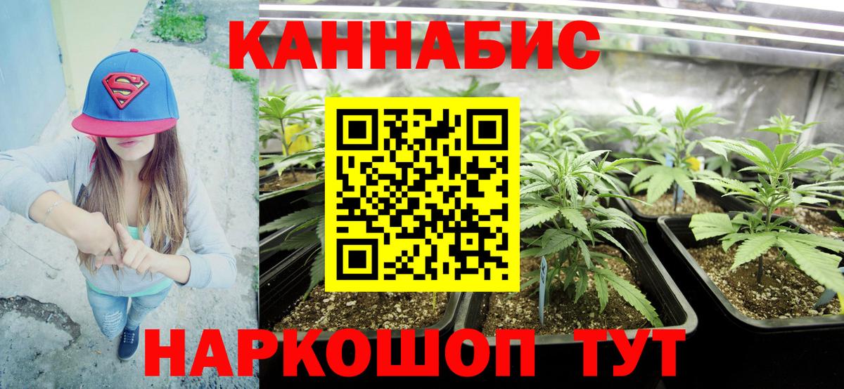 Каннабис планчик  МАРИХУАНА OG Kush  МАРИХУАНА LSD WEED  Краснокамск  Вход с VPN  Конопля Bruce Banner 